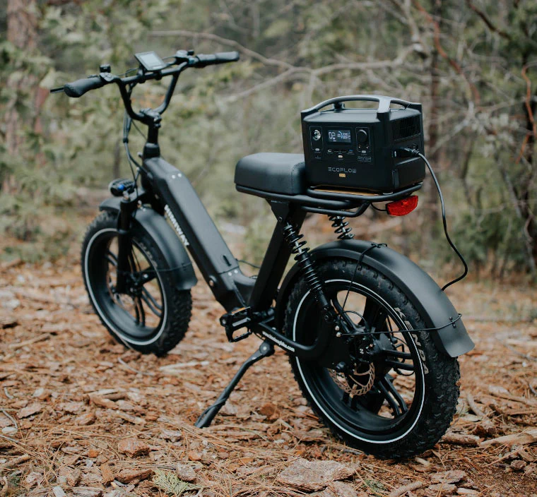 Electric Bikes 